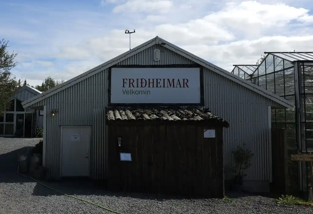 Friedhamer Tomato Farm Iceland