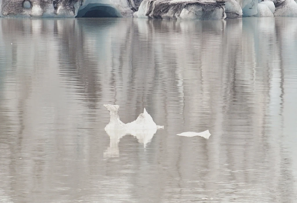 Glacier in Iceland