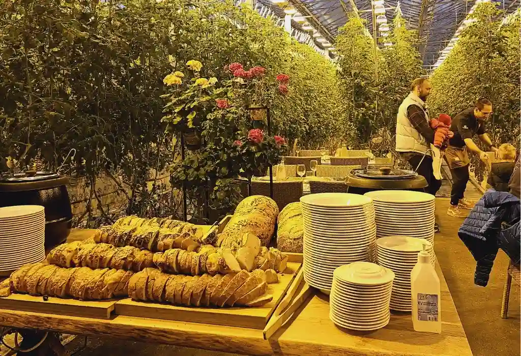 Friedhamer Tomato Farm Iceland