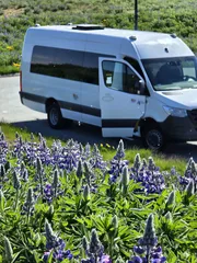 Iceland Paradise Tours (2)
