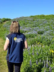 Iceland Paradise Tours (4)