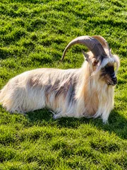 Iceland Paradise Tours (44)